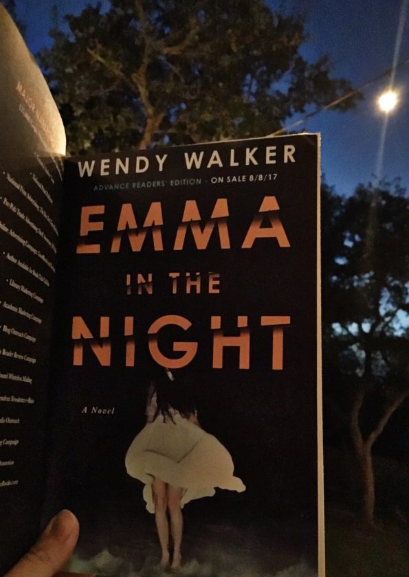 emma in the night book summary